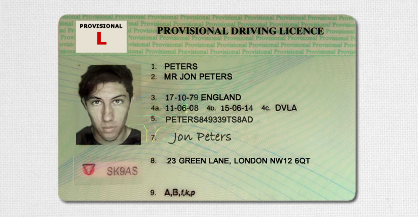 Provisional Car Driver Licence
