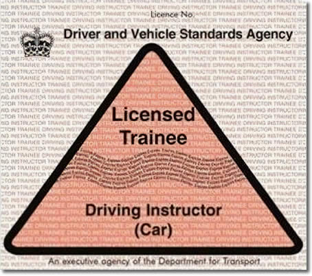 Part qualified, pink trainee driving instructor's licence