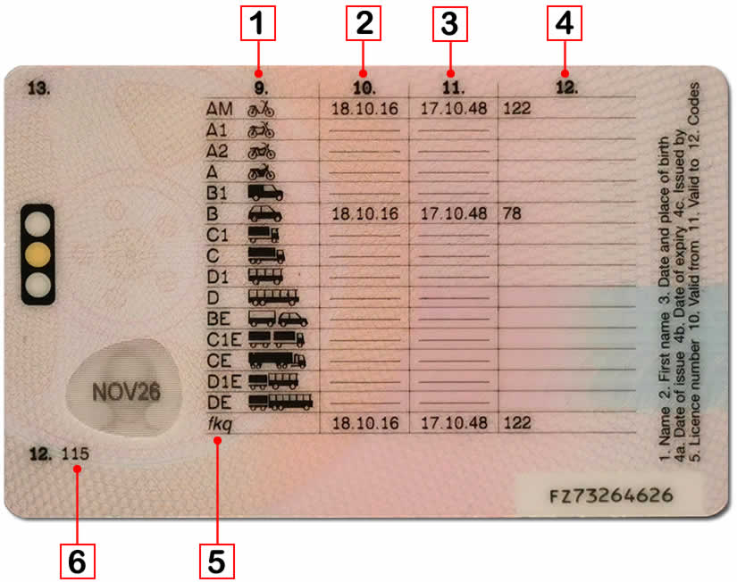 Explained is how to tell if a driving licence is automatic