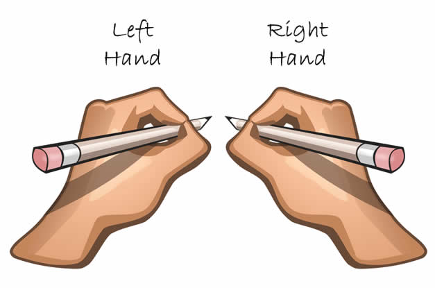 Determine your left from your right by thinking which is your dominant hand